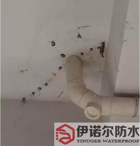姑蘇蘇州防水工程的基本內容是什么？